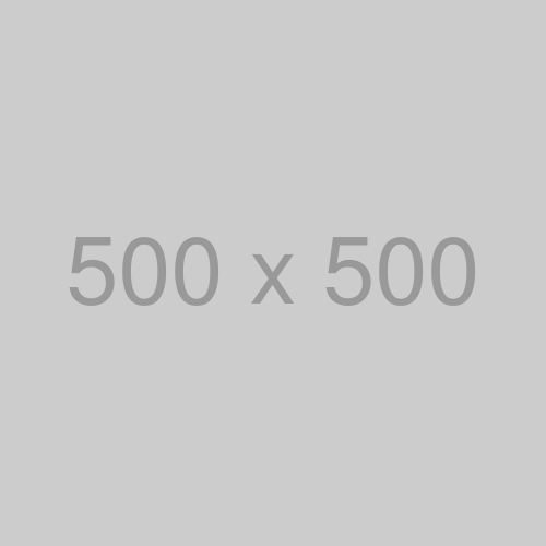 500x500