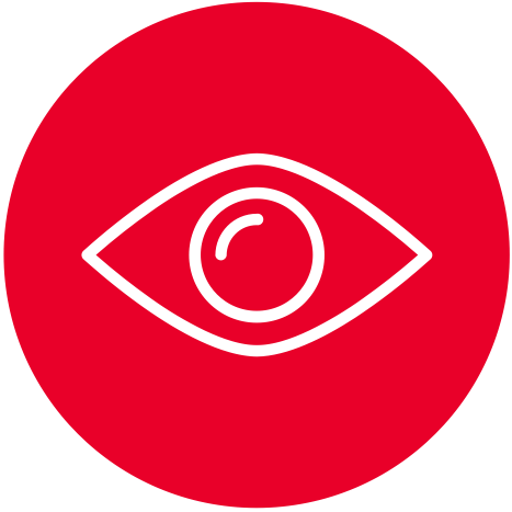 intelligent-computer-vision-icon-467 × 467